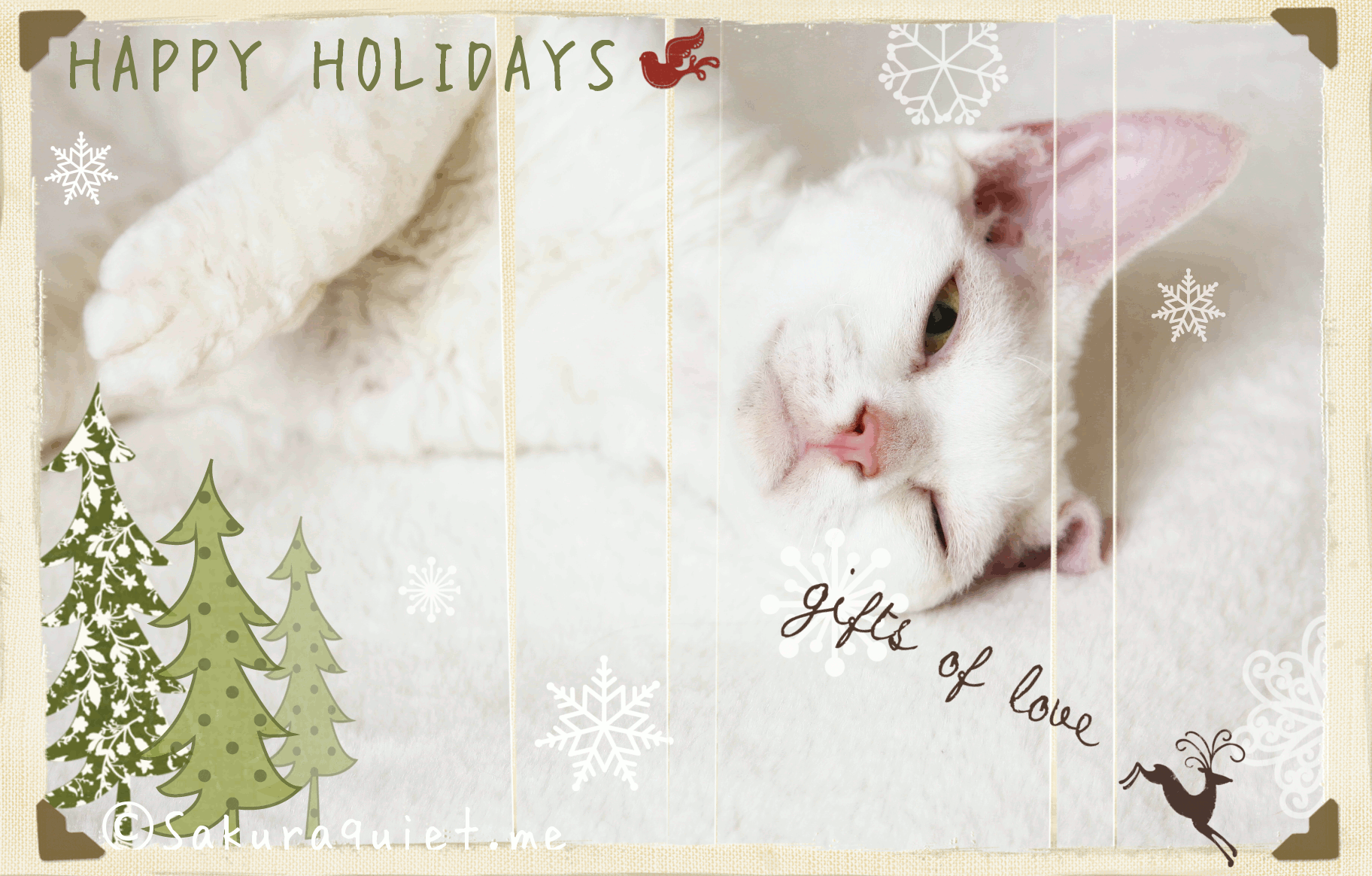 HAPPY HOLIDAY CARD