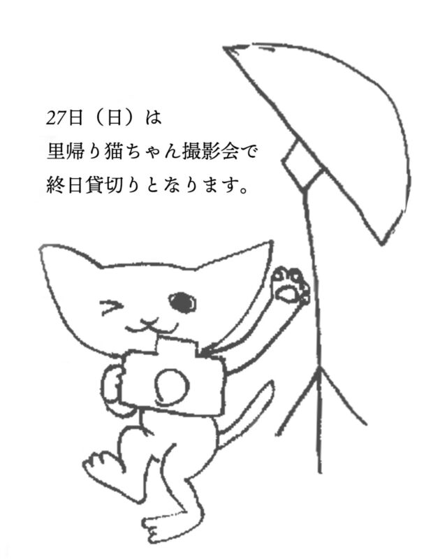 ＼7月27日（日）は里帰り撮影会で終日貸切りです📷️ ／

里帰り猫ちゃんあつまれ❣
当日は全館貸切。奥のお部屋でポートレート撮影と、併設のスパでシャンプーも承ります。
参加されたいオーナー様は個別にご連絡ください。

通常営業はお休みです。ご了承ください。

・・・

#ヒャクパーセントネコ by #Cattery #Sakuraquiet | 100% Neko は #猫カフェ スタイルの #デボンレックス の #キャッテリー です。#子猫 と直接触れ合っていただけます。もちろん、お迎えも！

#devonrex #kitten #devonrexkitten #devonrexcattery #デボンレックス子猫 #デボンレックスブリーダー #デボンレックスキャッテリー