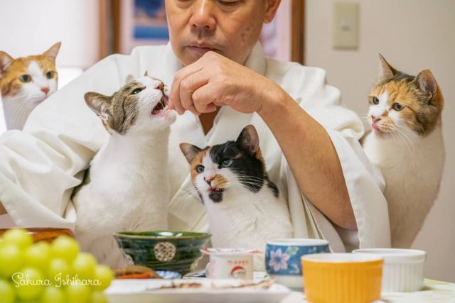 住職の朝ごはん🍚猫たちはおやつのおすそわけ😋 | 「てらねこ 毎日が幸せになる お寺と猫の連れ添い方」好評発売中 ☞ https://amzn.to/2Oixatn
・・・
#てらねこ #那須の長楽寺 #cat #猫写真 #今日の一枚