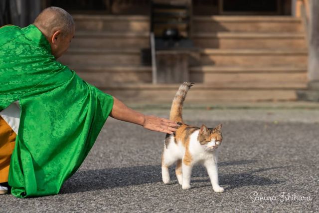 なんともいえないミーコ母さんの表情☺️ほほえましいワンシーンでした | 「てらねこ 毎日が幸せになる お寺と猫の連れ添い方」好評発売中 ☞ https://amzn.to/2Oixatn
・・・
#てらねこ #オフショット #那須の長楽寺 #cat #猫写真 #今日の一枚