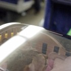 電車でのシンガプーラのツレちゃん Singapura Cat TSURE-CHANG