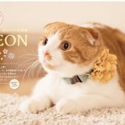 おしゃれ美猫LEON(レオン) 4月はじまりカレンダー2016